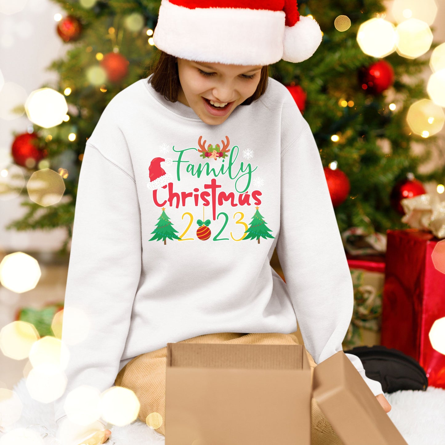 Family Christmas 2023, Christmas Long Sleeves, Christmas Sweater, Christmas Crewneck For Youth, Christmas Present, Christmas Sweatshirt